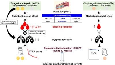 Prevalence of adverse events during ticagrelor versus clopidogrel treatment and its association with premature discontinuation of dual antiplatelet therapy in East Asian patients with acute coronary syndrome